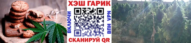 ОМГ ОМГ маркетплейс  Мглин  Еда ТГК марихуана  цена наркотик 