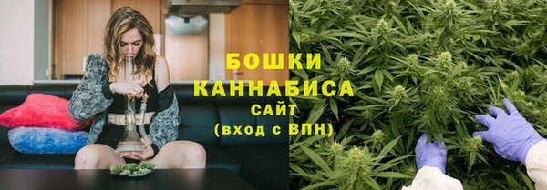 марки lsd Белокуриха