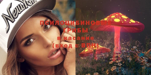 марки lsd Белокуриха