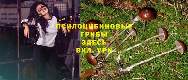марки lsd Белокуриха