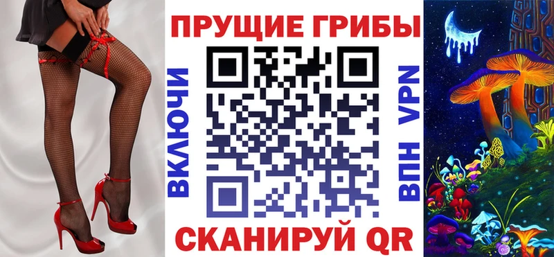 Псилоцибиновые грибы прущие грибы  цены   Мглин 